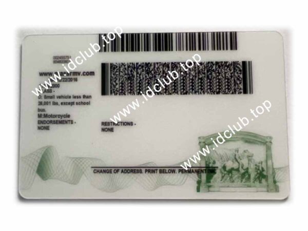 Massachusetts ID - Image 2