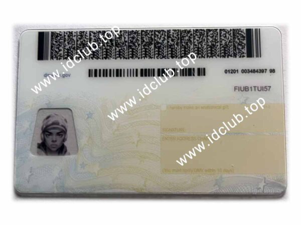 New York ID - Image 2