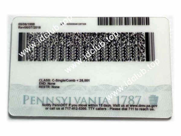 Pennsylvania ID - Image 2